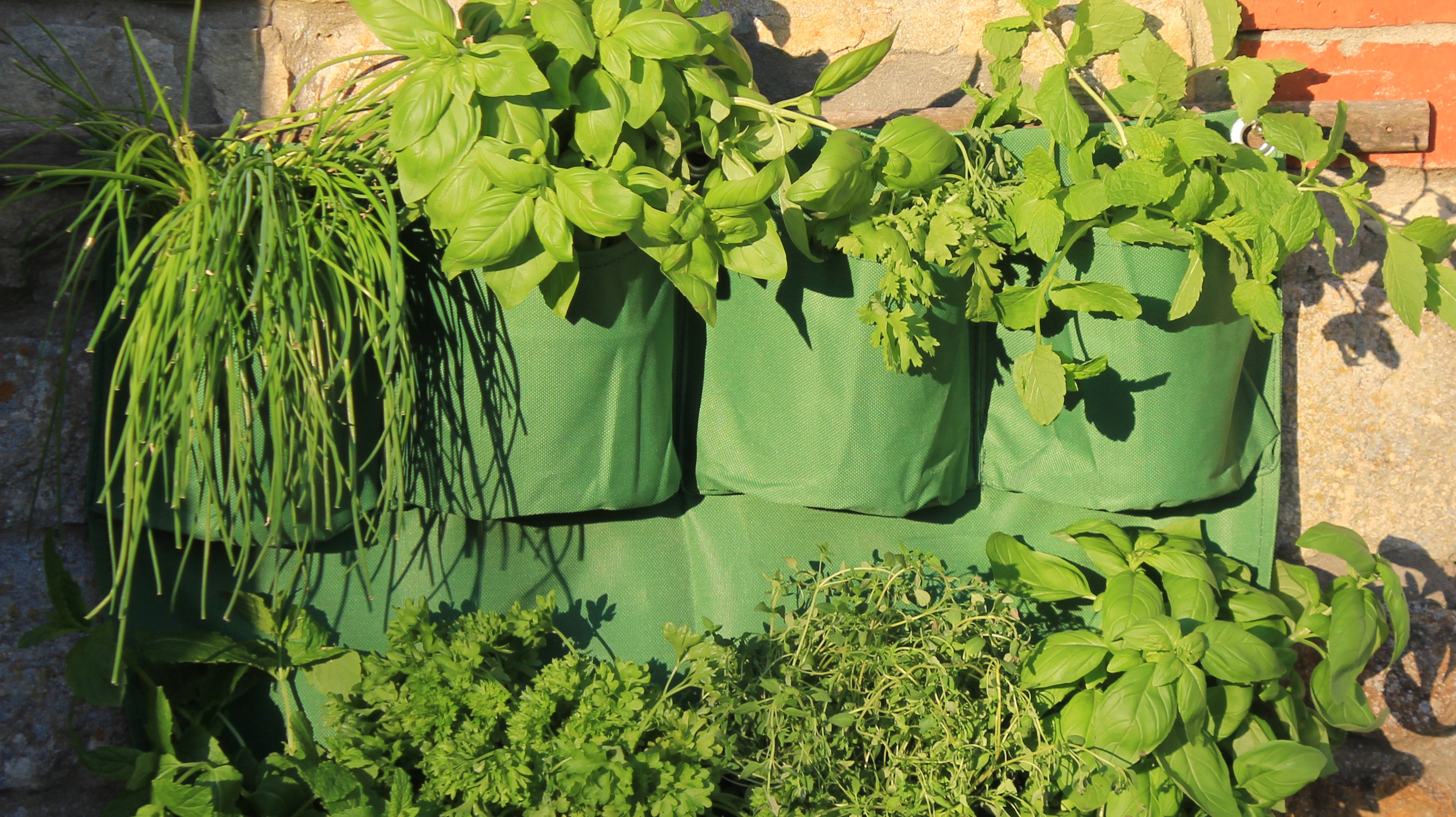 Product Bite: Herb Wall Planters - herb growing for everyone