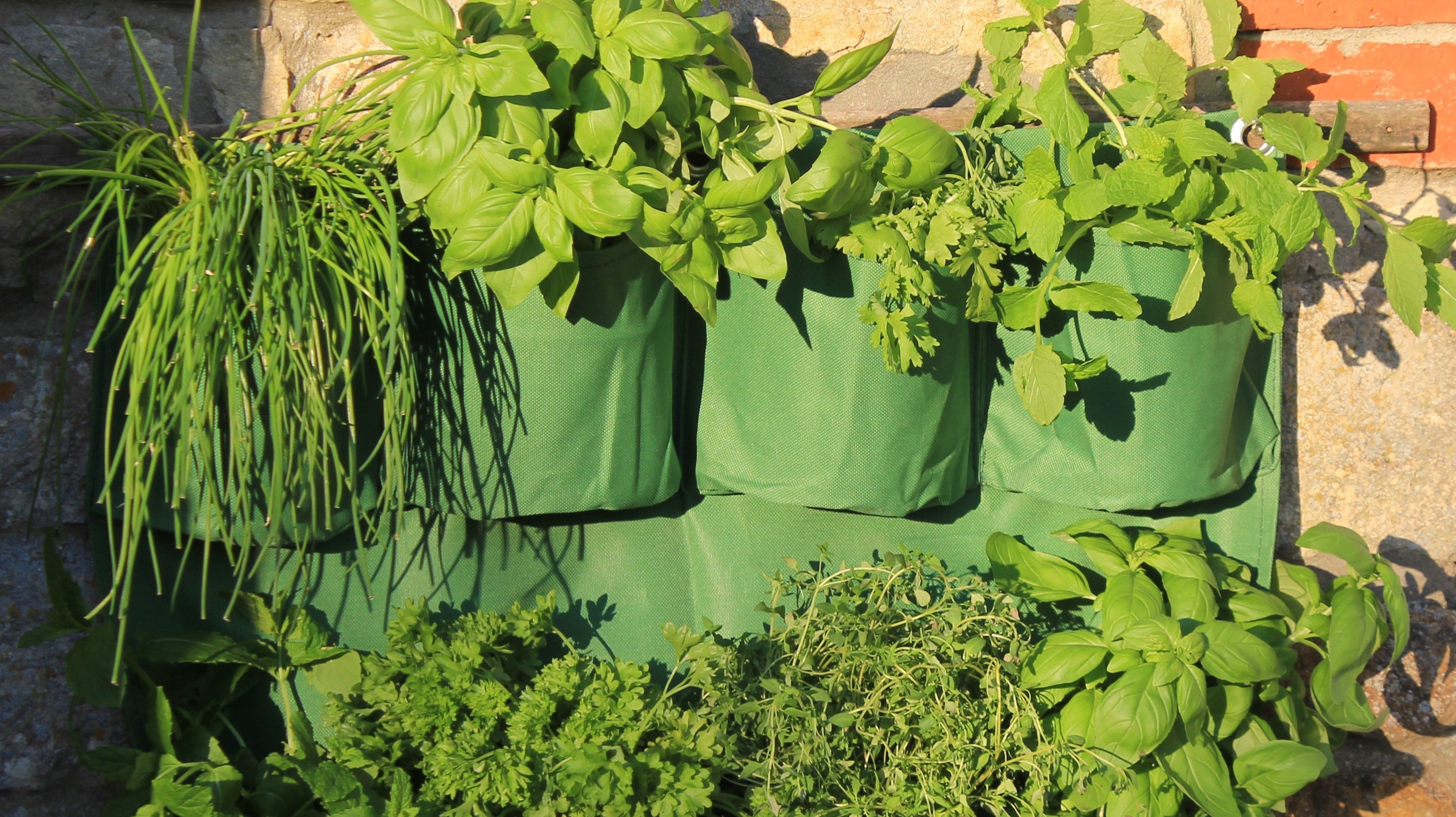 Product Bite: Herb Wall Planters - herb growing for everyone