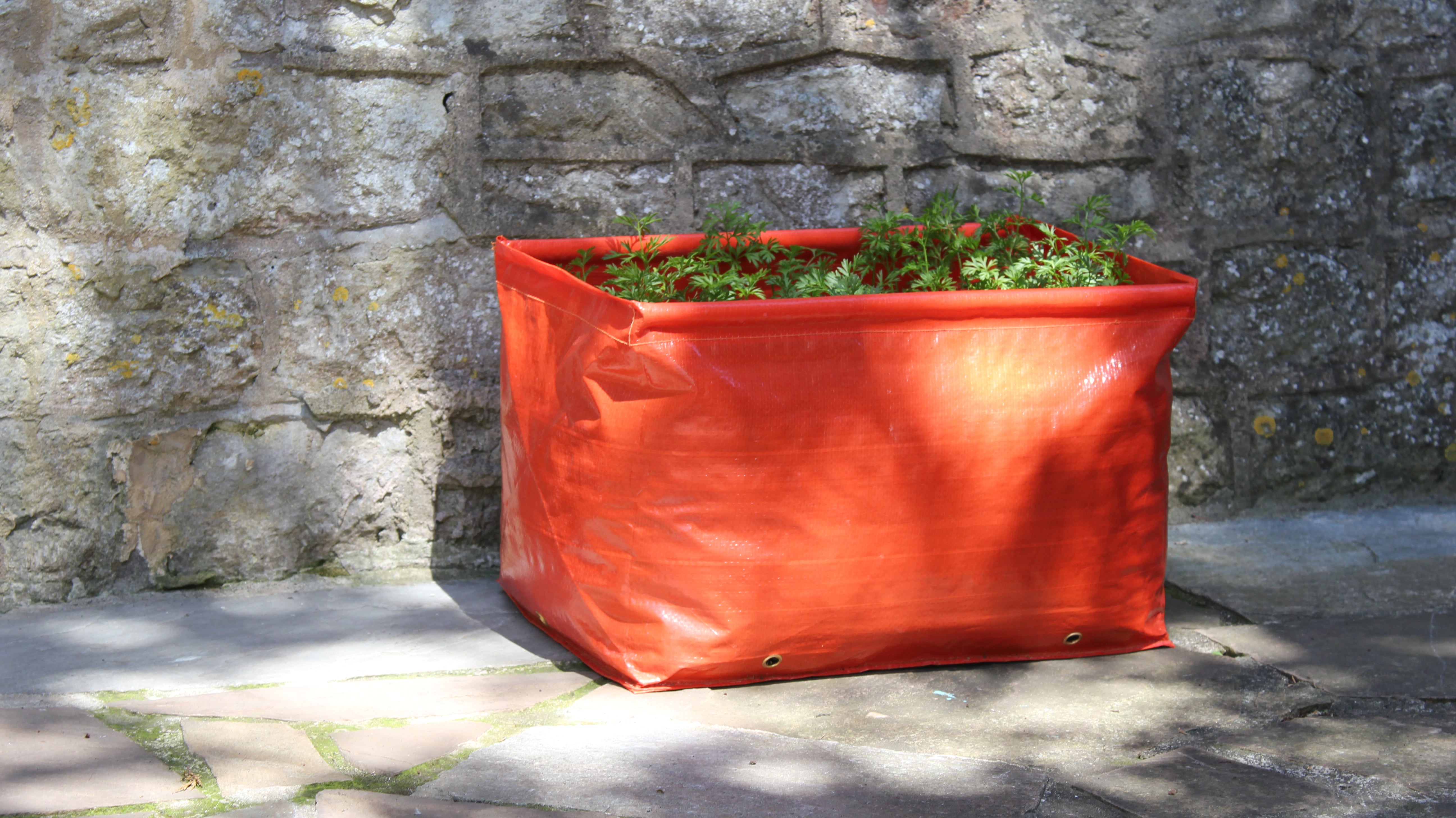 Haxnicks Carrot planters 2 pack