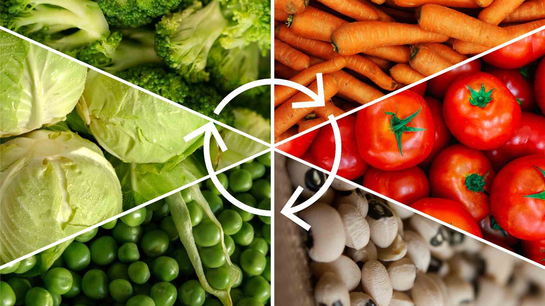 Beginners Guide to Crop Rotation in the Vegetable Garden