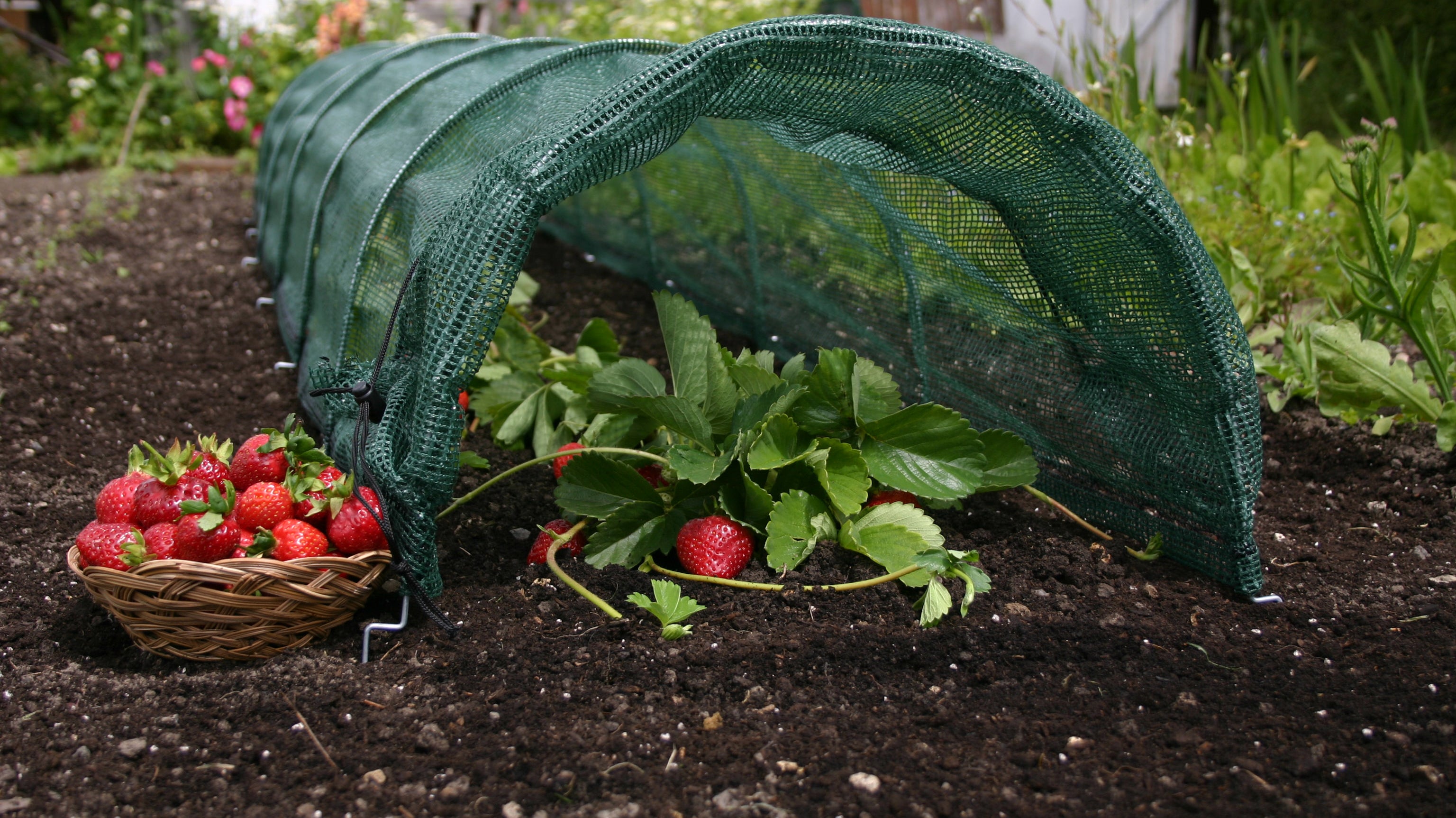 Product Bite: Easy Net Tunnels - the only tunnel with shade netting