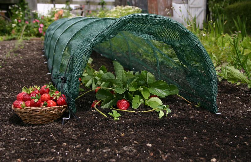 Product Bite: Easy Net Tunnels - the only tunnel with shade netting