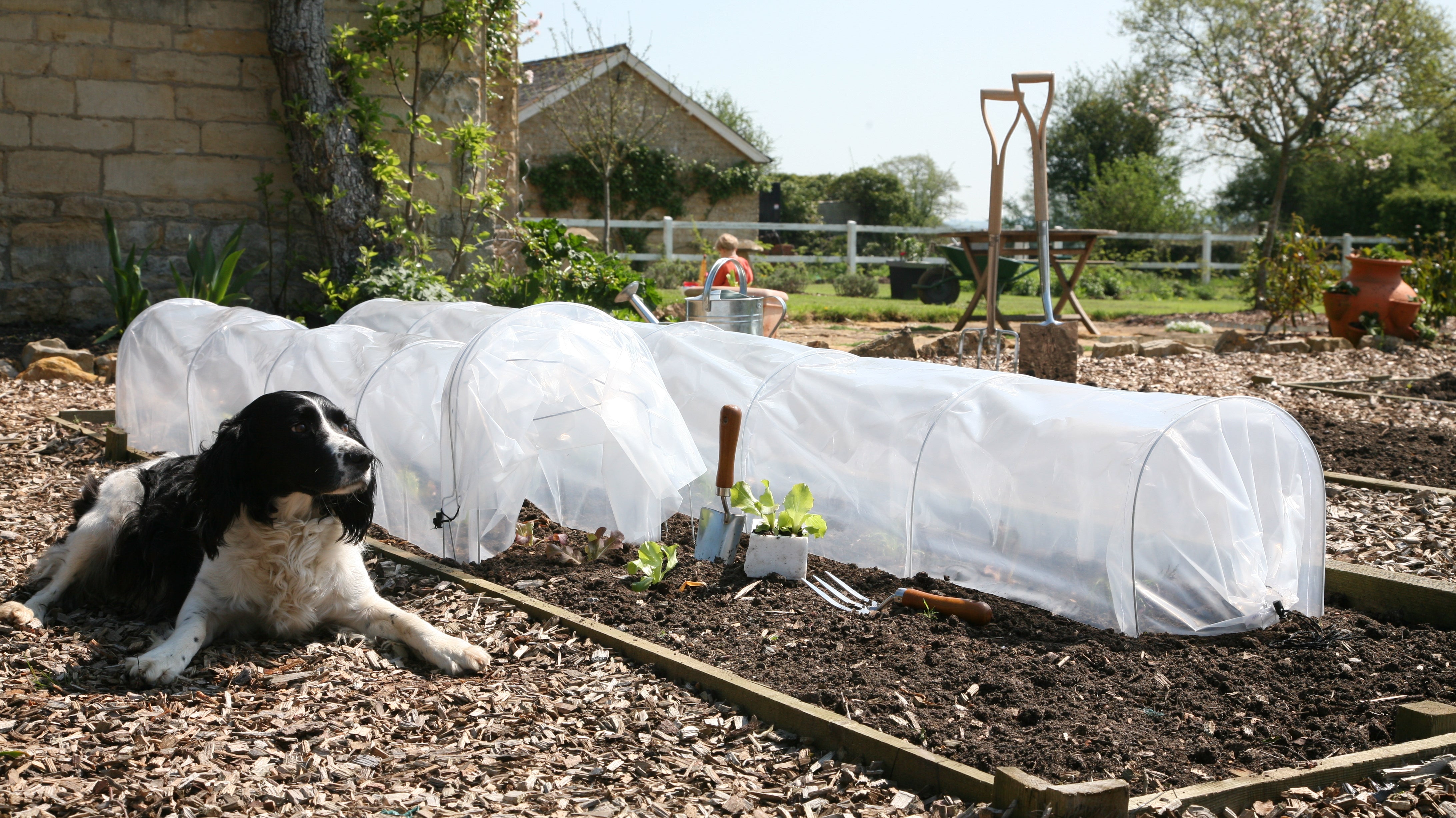 Haxnicks Easy Poly tunnels
