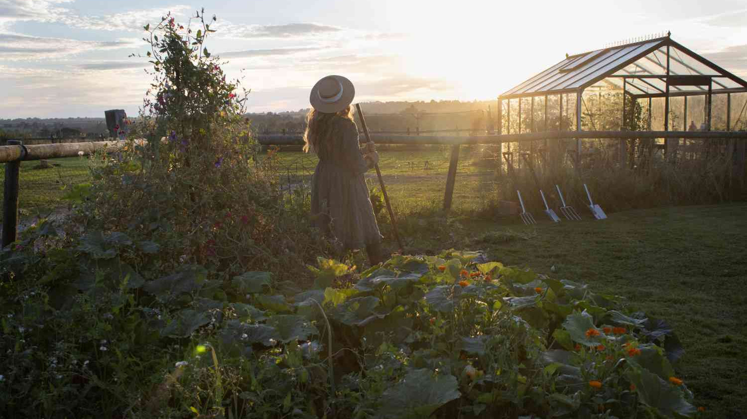 Mental Health - Why Gardening helps with Depression