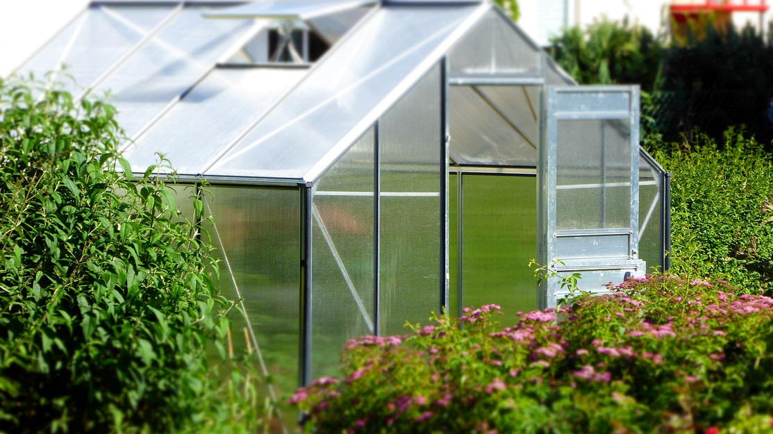 Pippa Greenwood: Haxnicks December Gardening tips