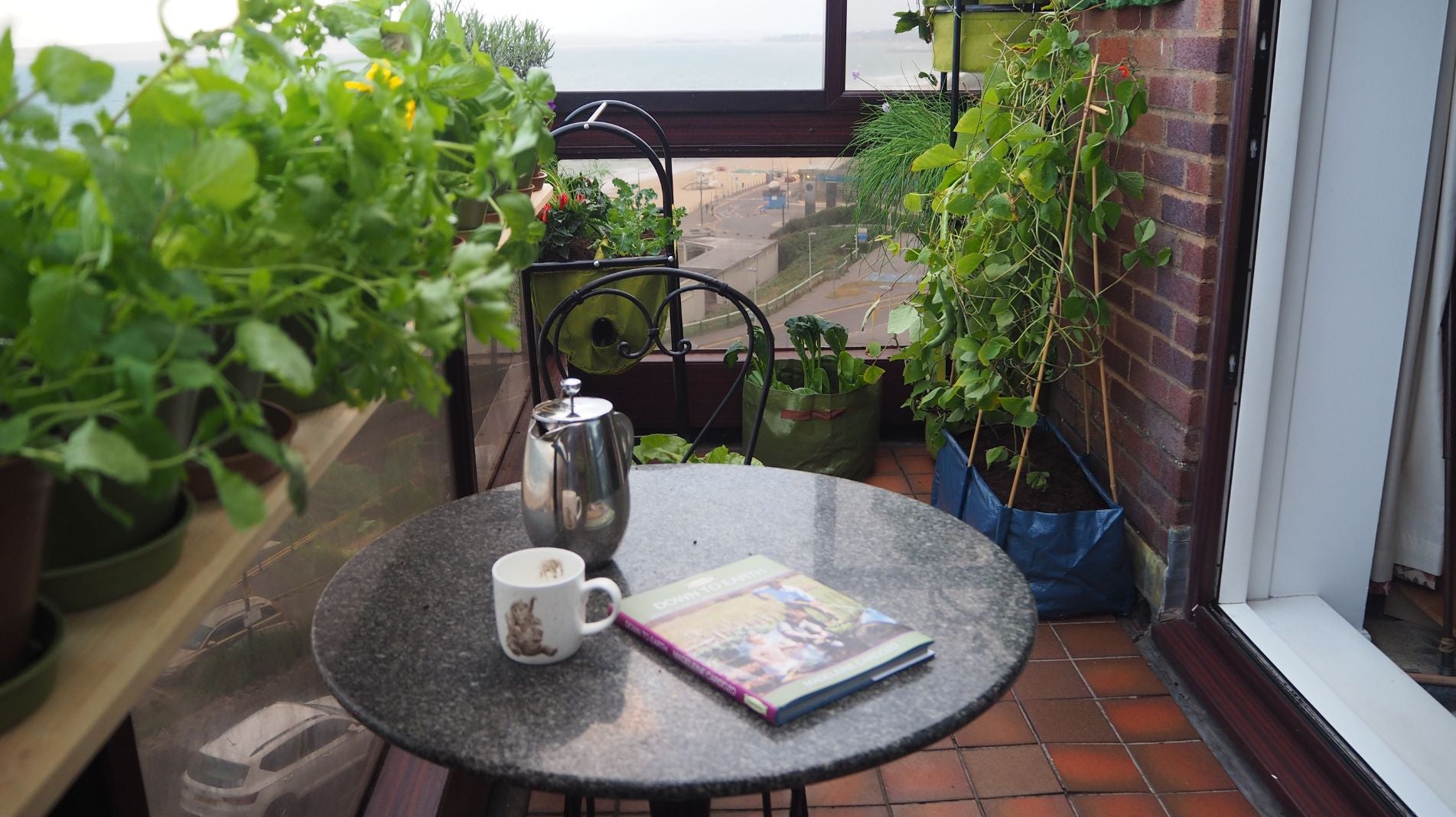 Beginners Guide to Growing an Edible Container Garden