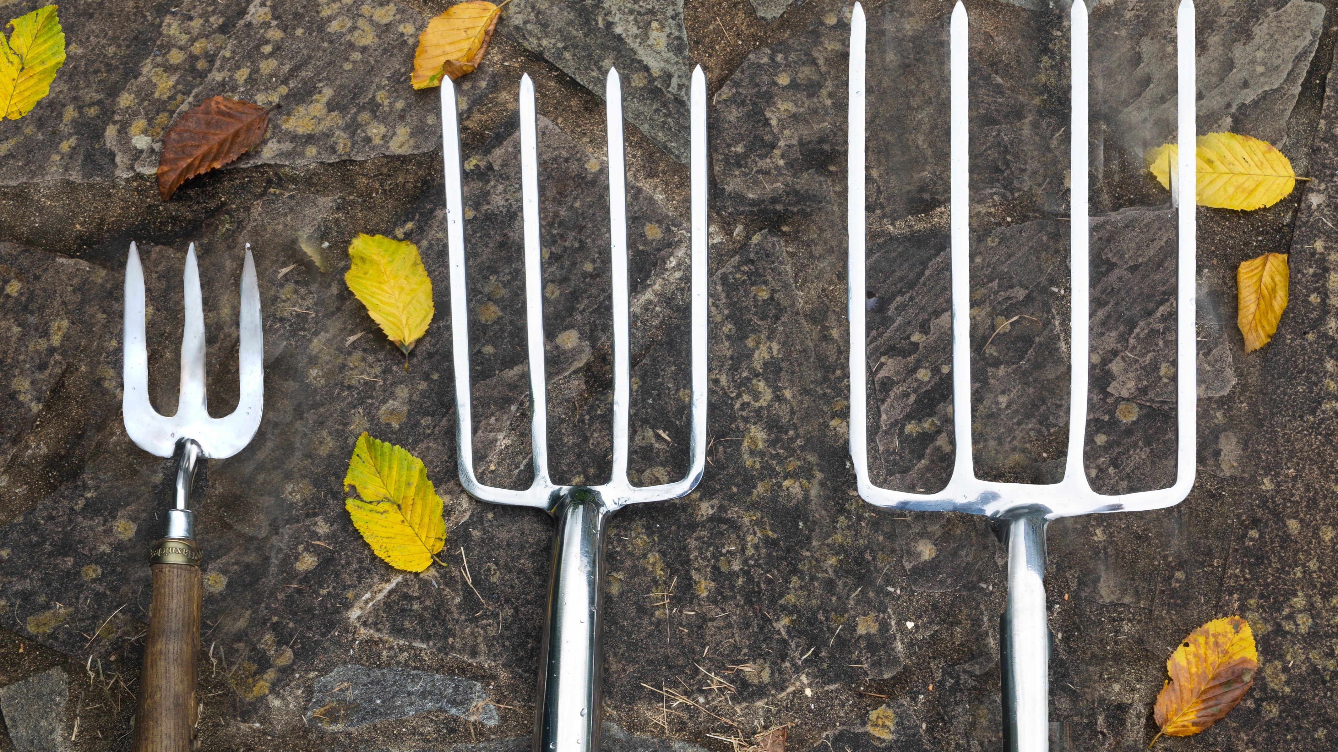 3 reasons to use a Garden Fork & how to choose one