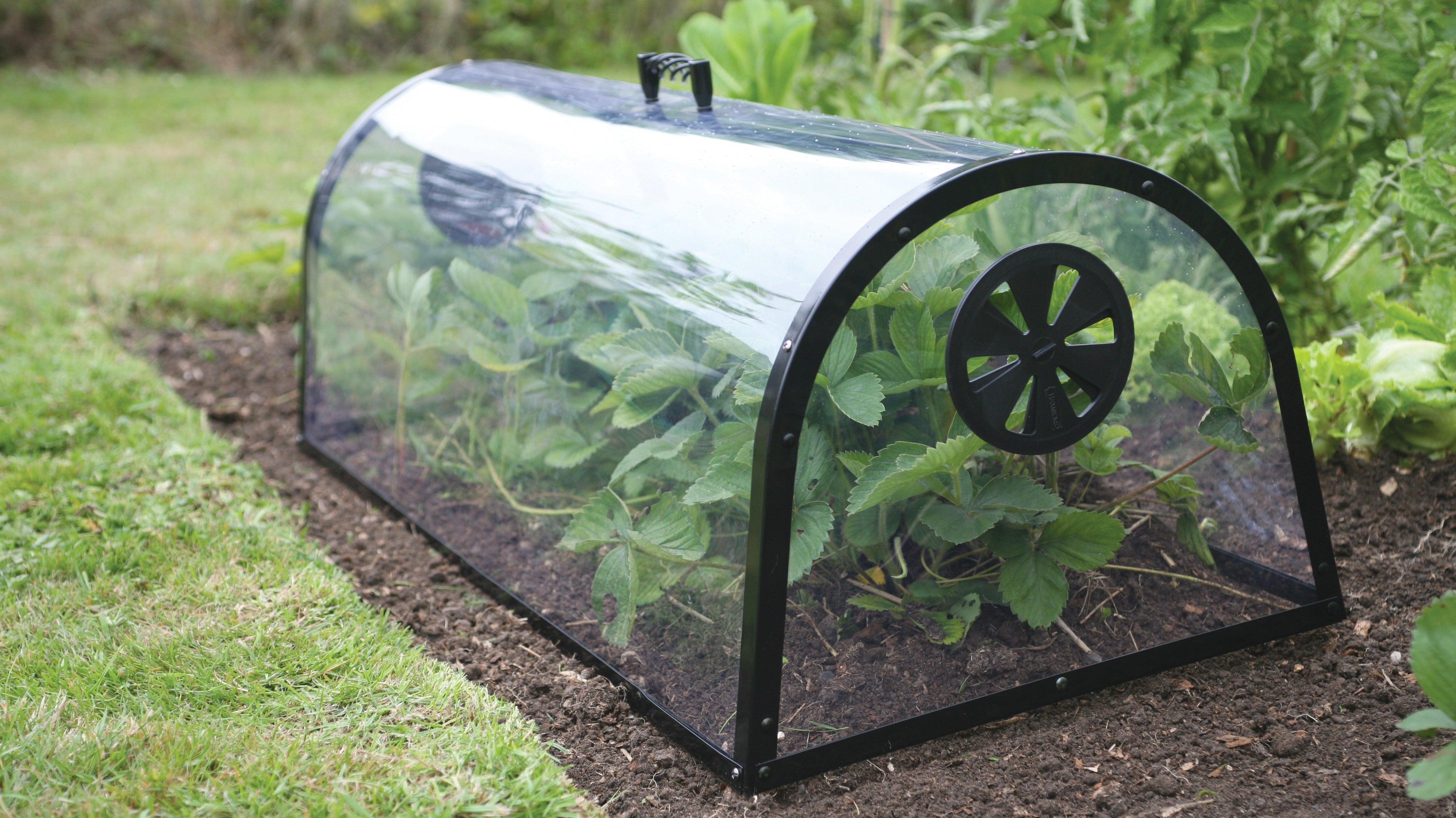 Product Bite: Haxnicks Kitchen Garden Cloche