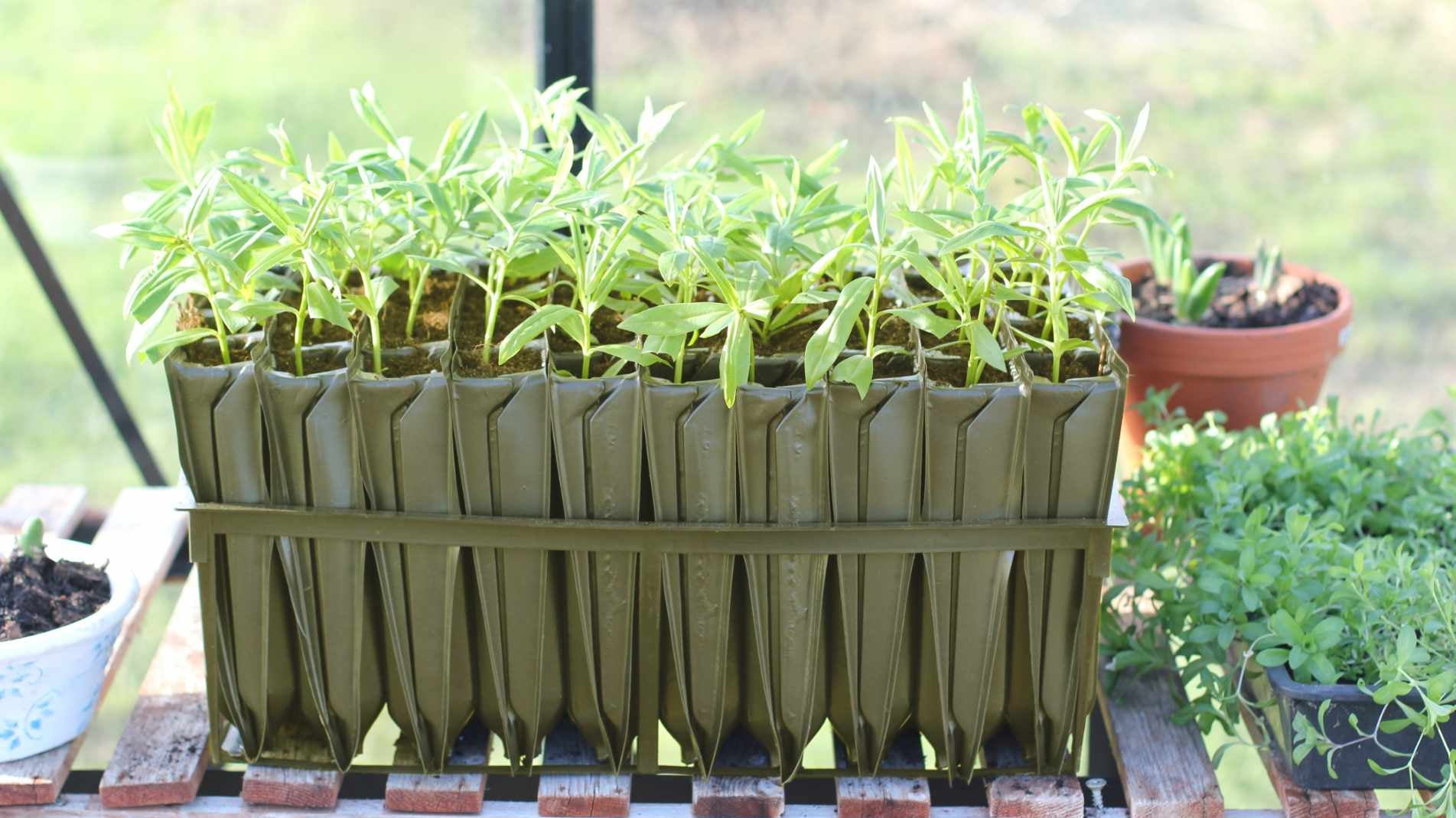 Choosing the Right Rootrainer