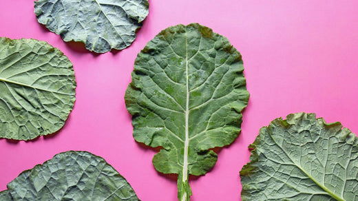 How to Grow Collard Greens (aka Spring Greens in the UK)