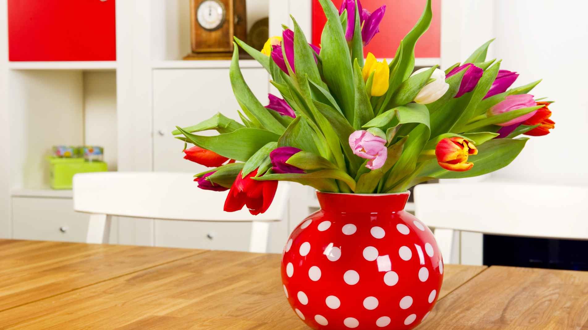 How to Care for Cut Tulips to make them last longer