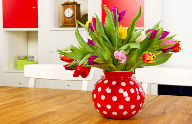 How to Care for Cut Tulips to make them last longer