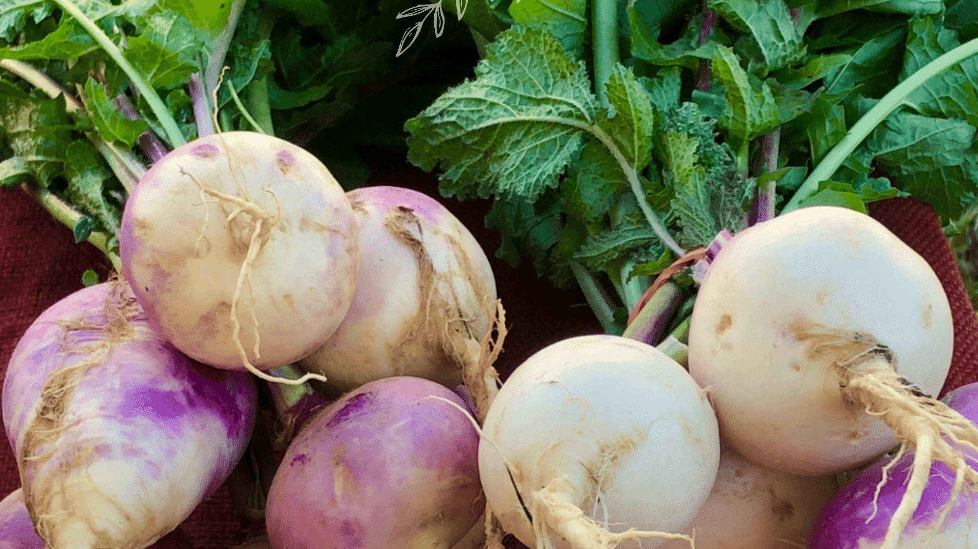 July Planting: Fruit and vegetables to grow in July