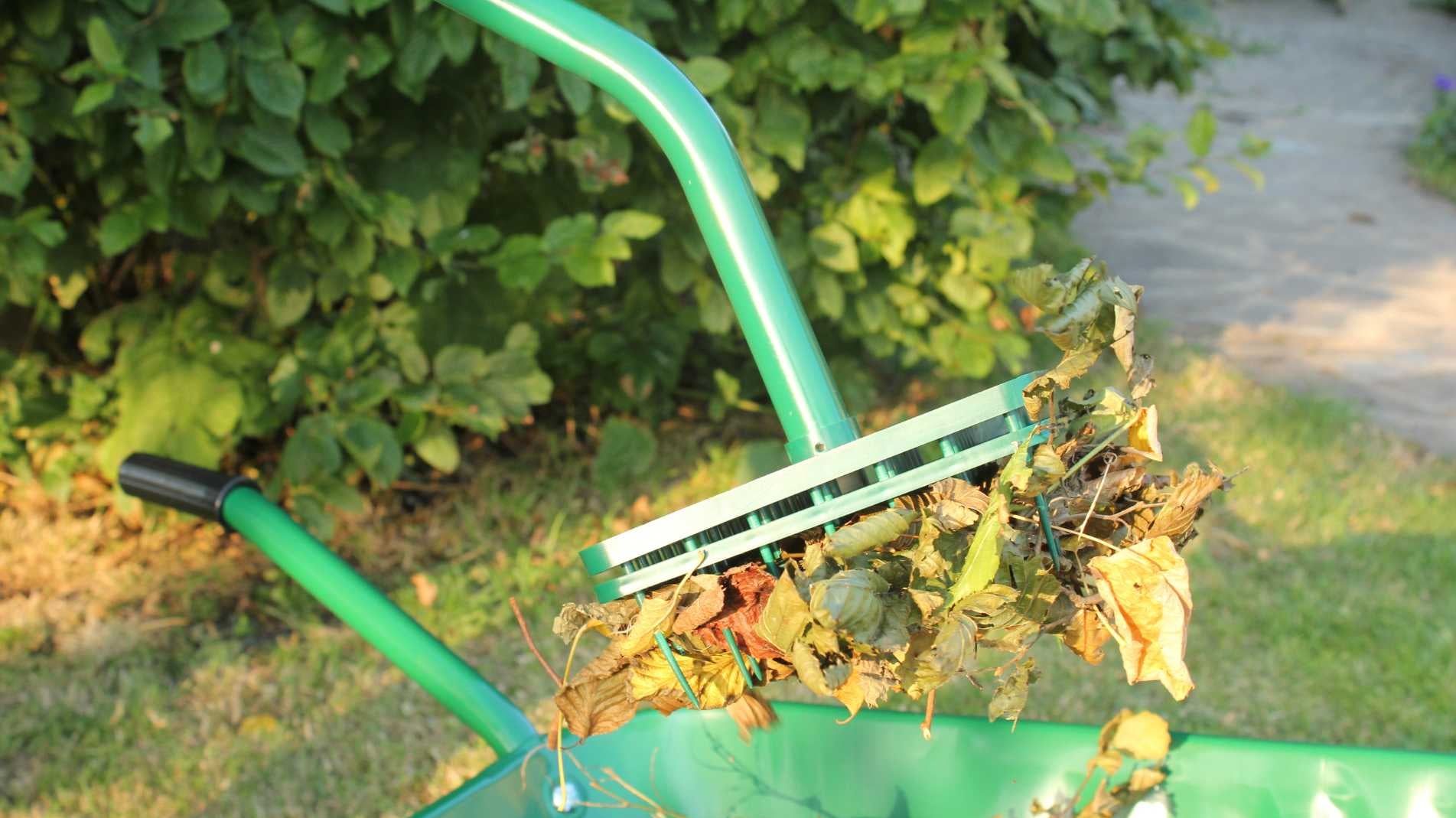 Pick up leaves the easy way this autumn!