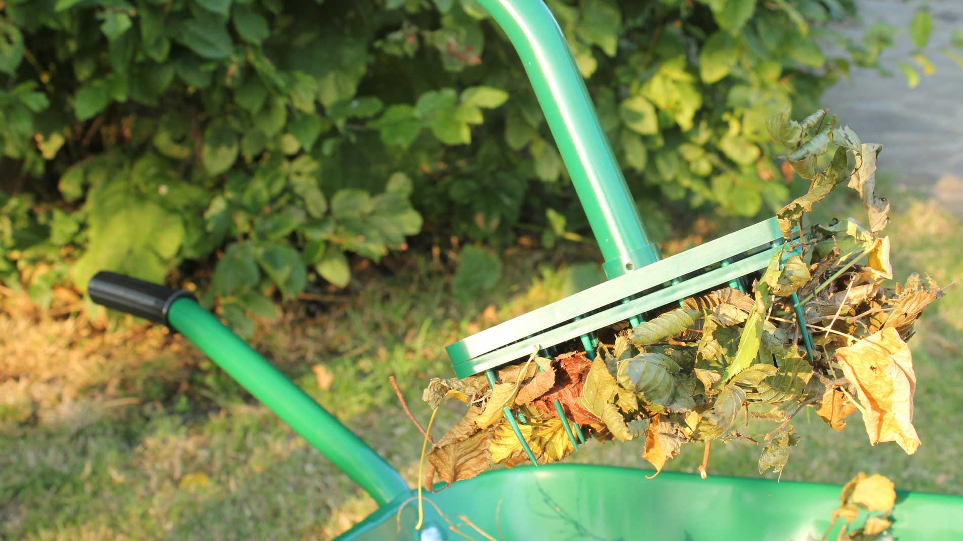 Haxnicks LeafPicker - the easy way to collect leaves without bending and back ache