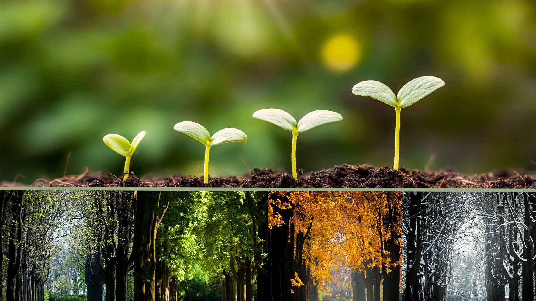 How to extend your growing season and grow your own food