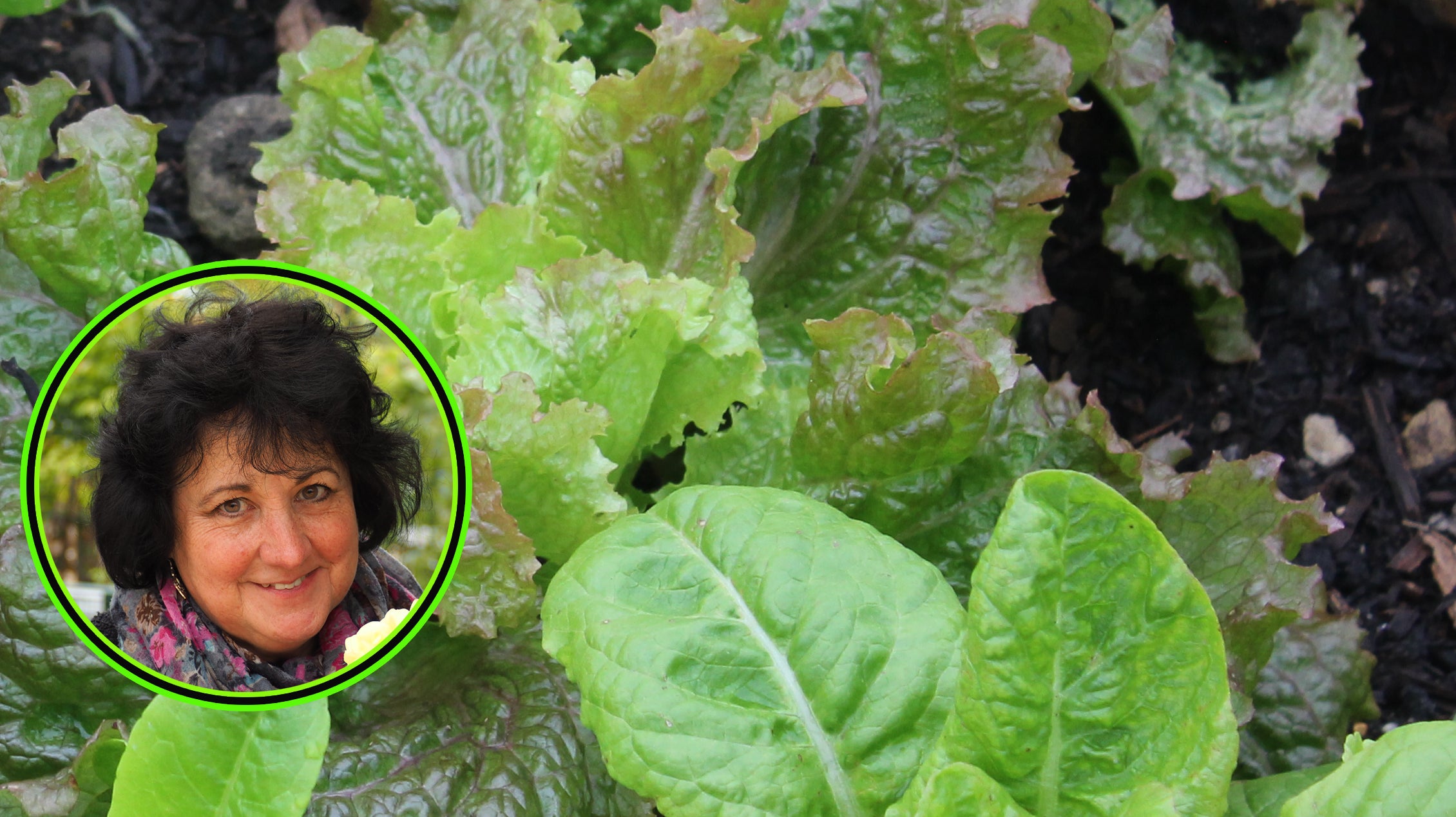 Pippa Greenwood expert gardening advice August