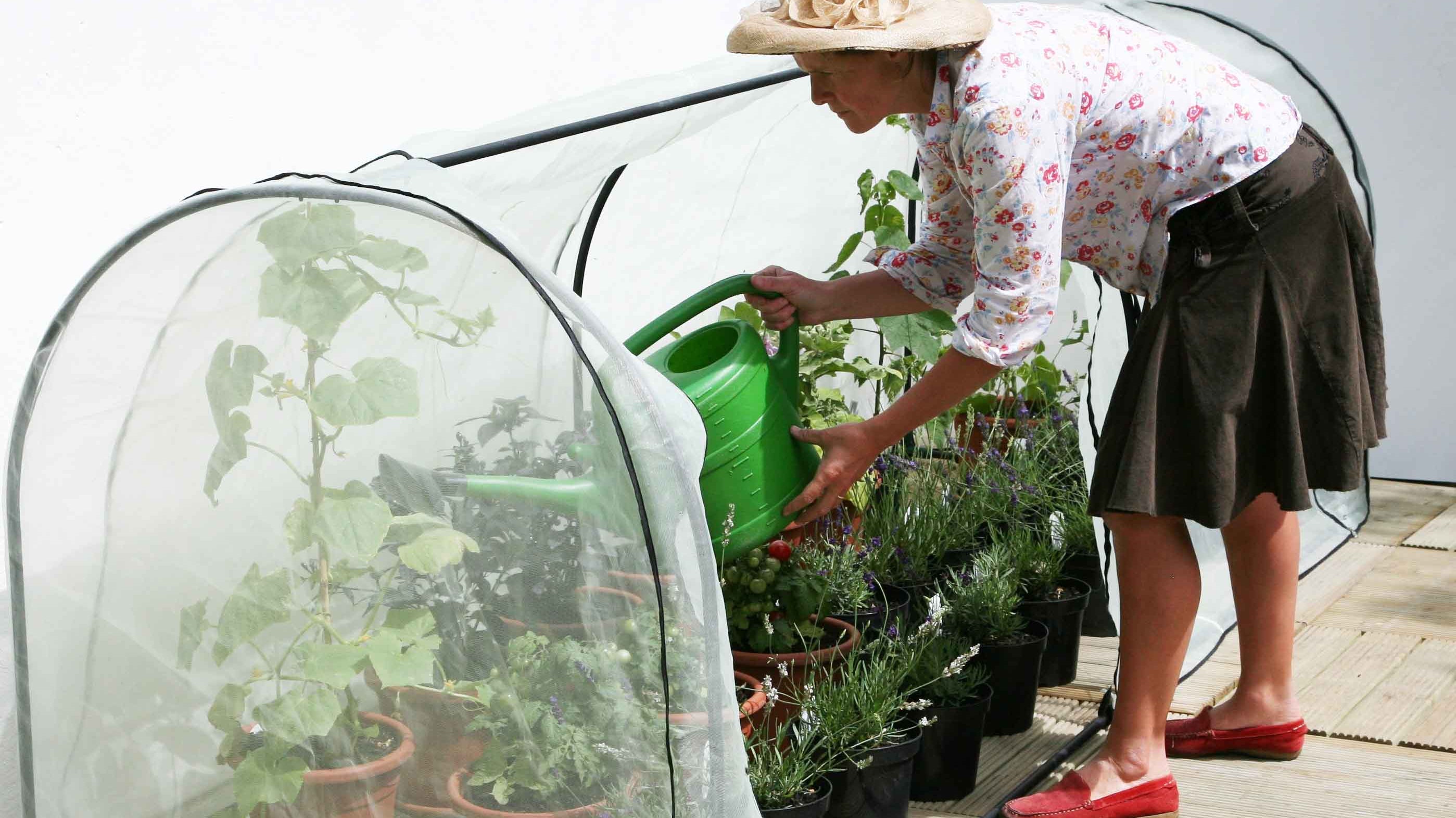 Product Bite: Grower Frame