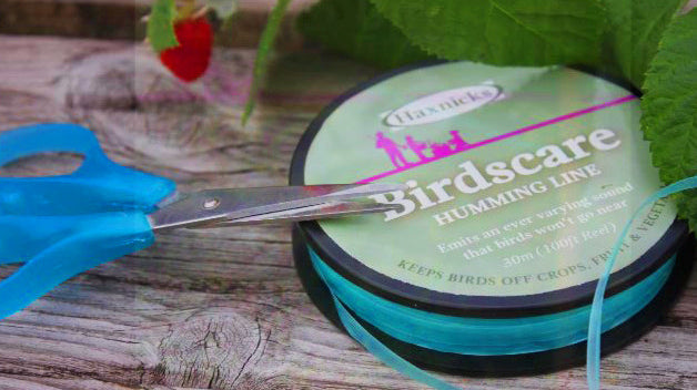 Birdscare the chemical free way to keep birds off your fruit crops
