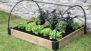 Haxnicks- raised bed growing system- growing frame- raised bed base- small space vegetable growing s