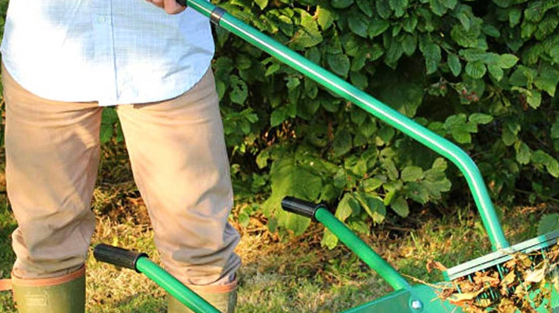 Don't Rake It, Stake It! The Clever Way to Clear Autumn Leaves