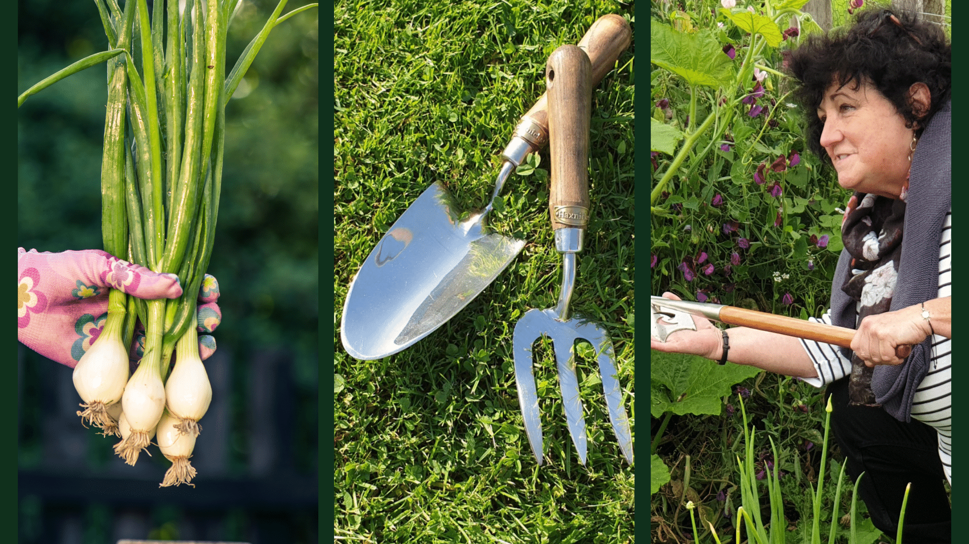 Pippa Greenwood: What to Plant in March