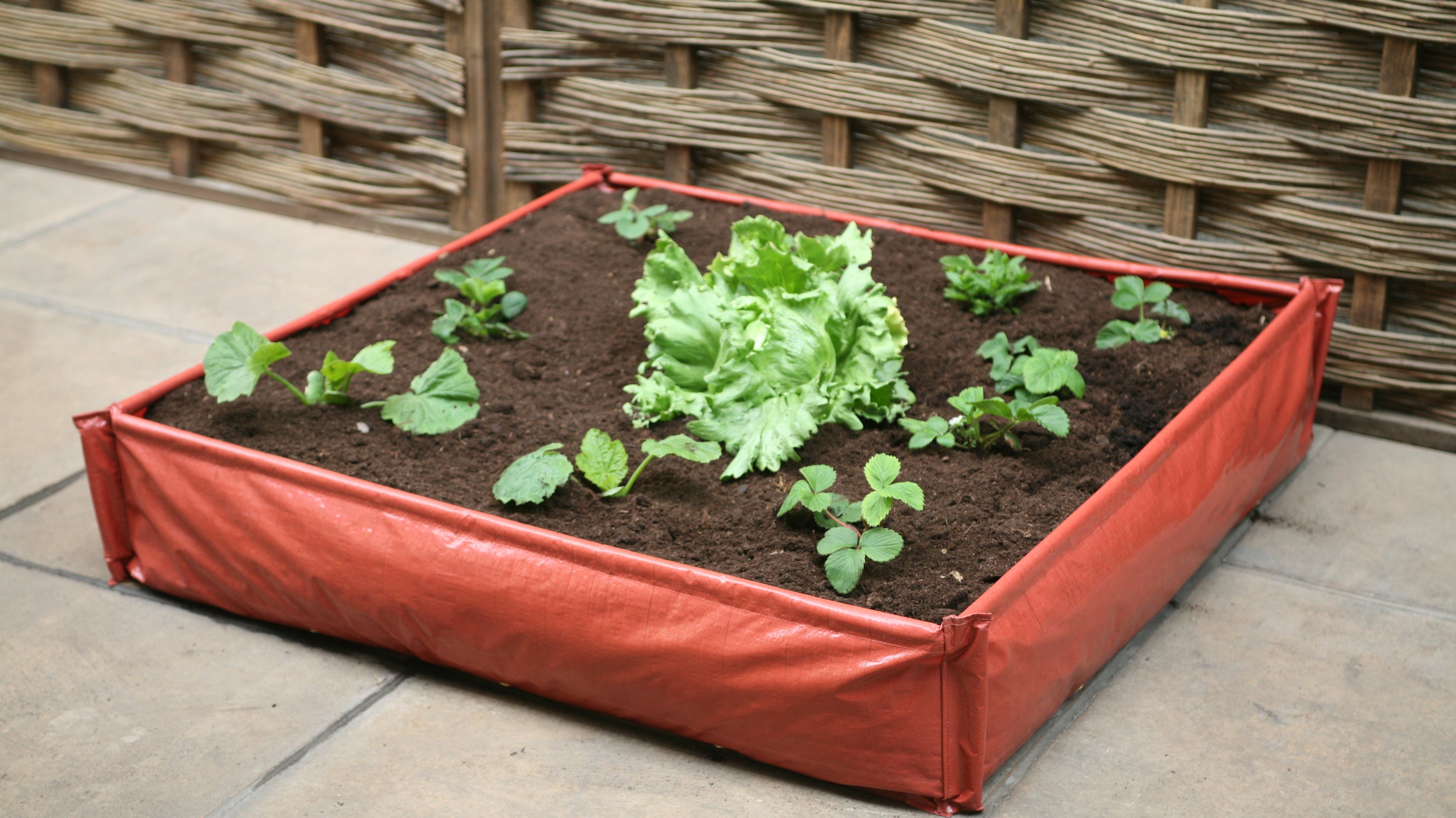 Product Bite: Instant Raised Bed Patio Planter’s