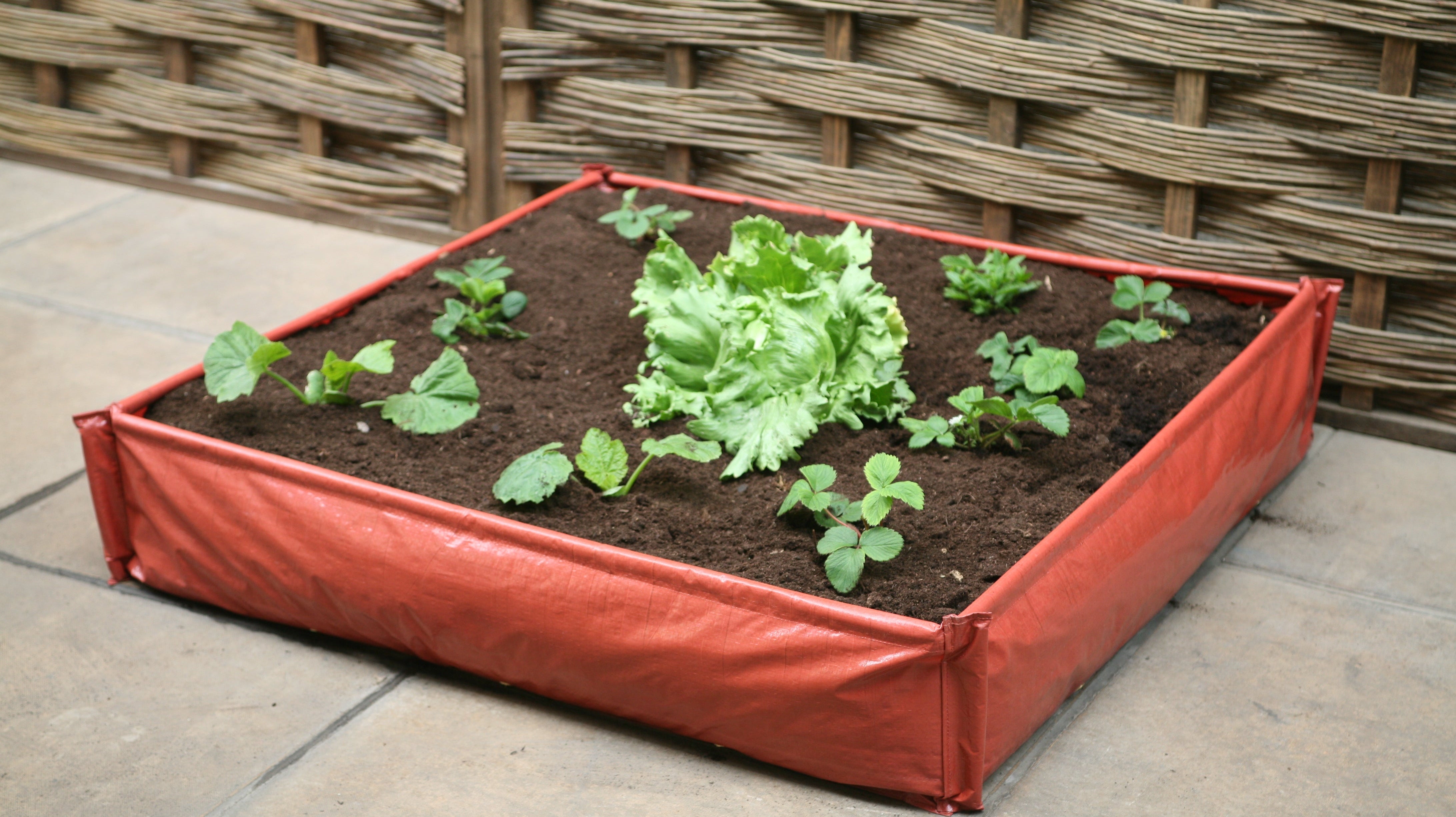 Product Bite: Instant Raised Bed Patio Planter’s