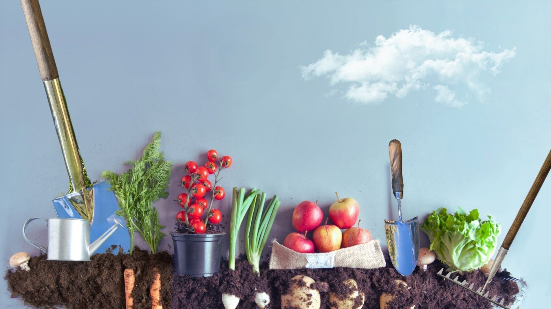 What Garden Tools Do I Need to Start a Vegetable Garden?