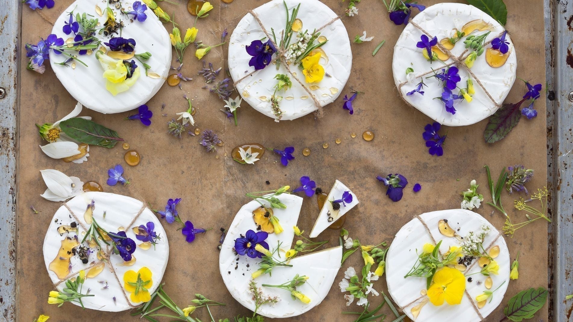 Top 5 Edible Flowers You Can Grow in Containers