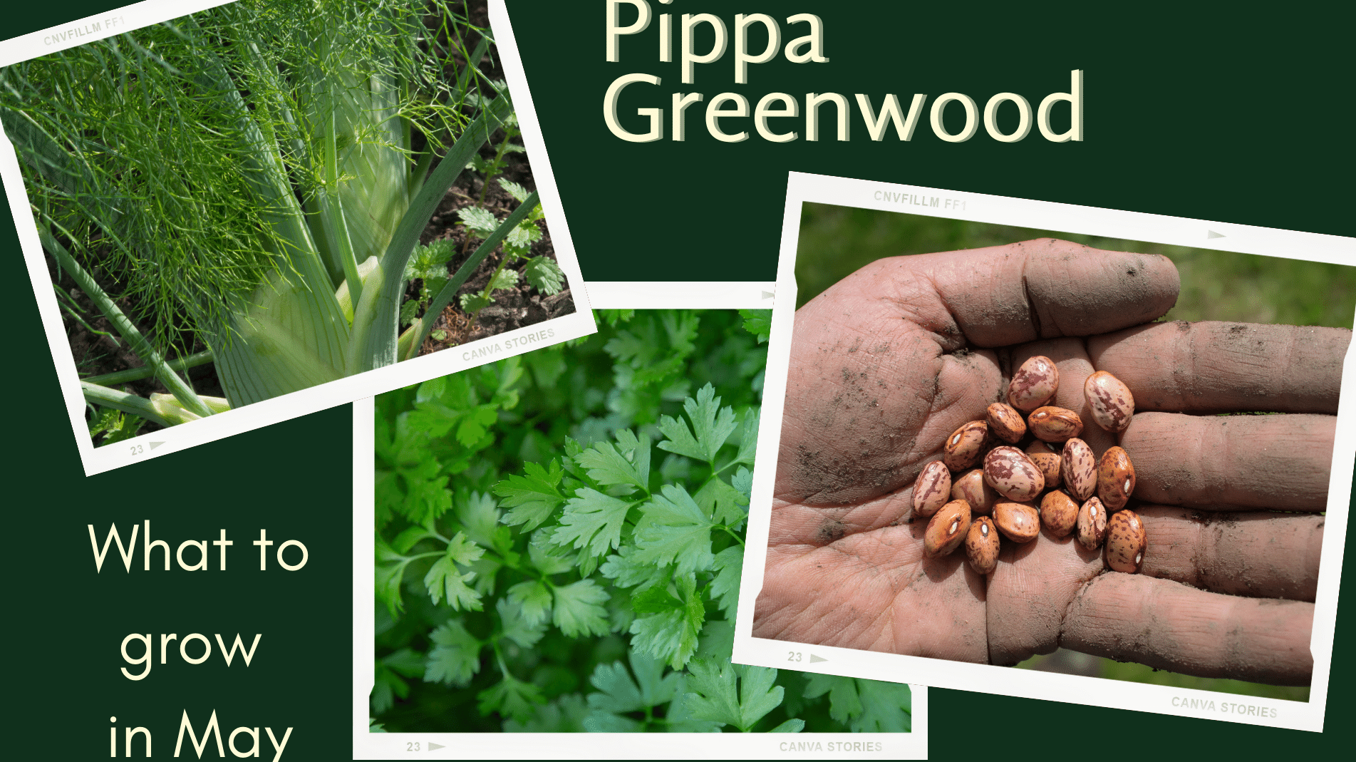 Pippa Greenwood: What to Sow in May in your garden