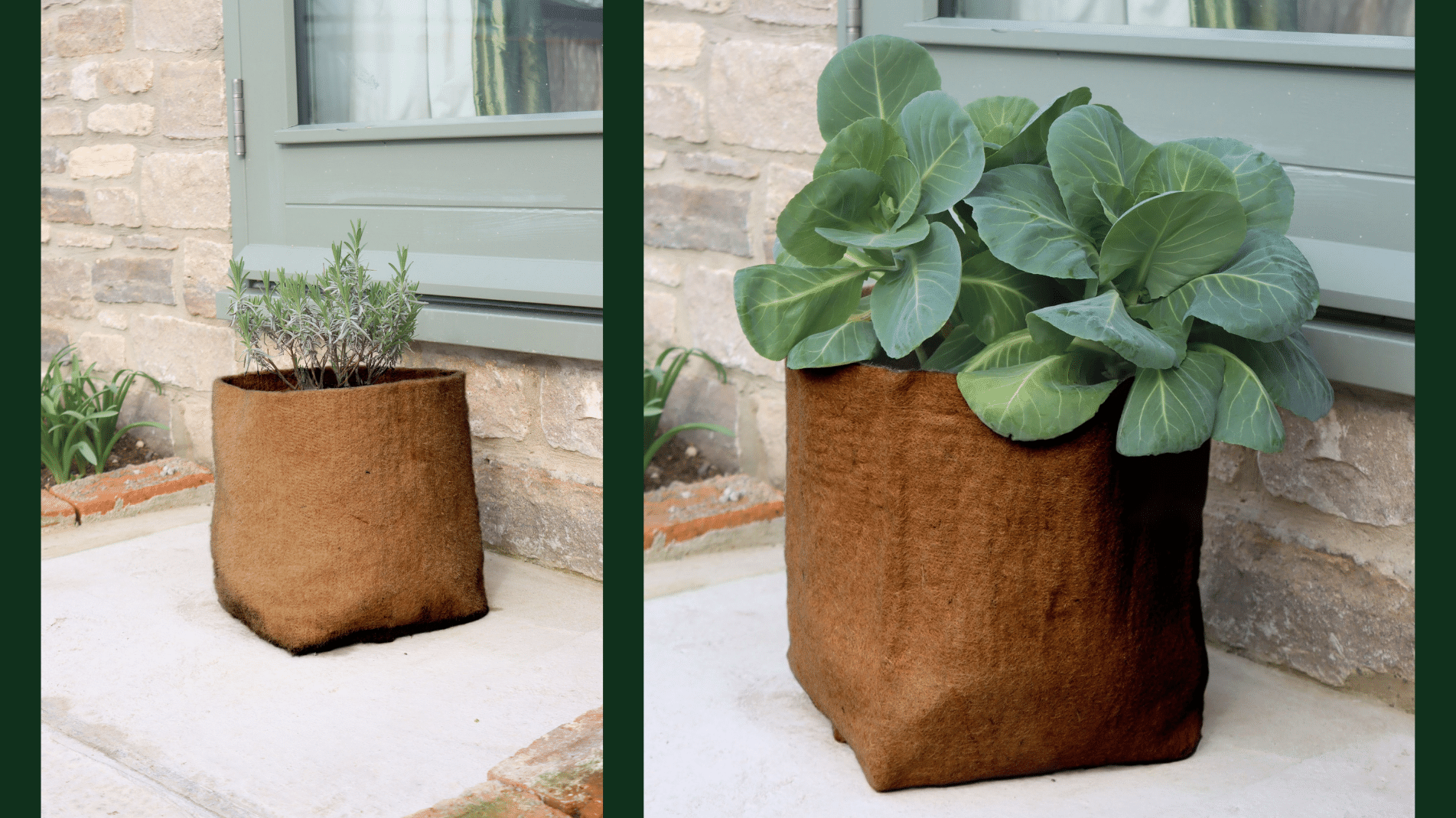 Product Bite: Sustainable Hemp Pots & Planters