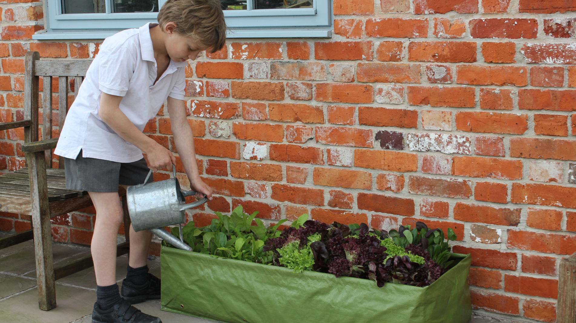 Product Bite: Multi-purpose Growbag Planter