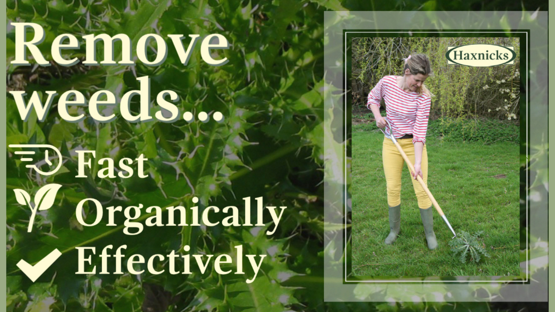 How to kill weeds quickly and organically in large grassy areas