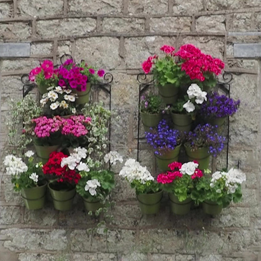 Wall pot holders filled with bamboo pots and flowers