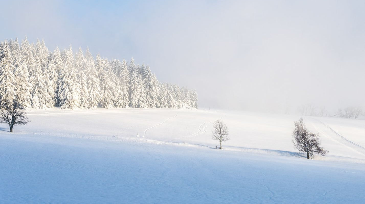 What is Garden Fleece and Why do I need it?