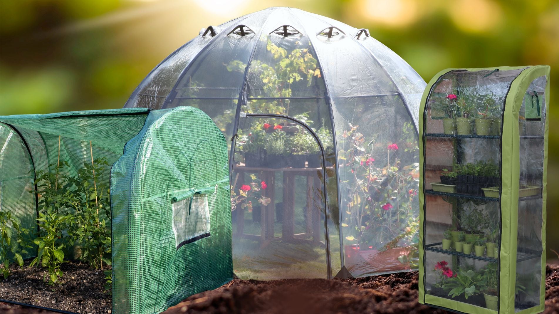 3 Greenhouse Alternatives - which is right for you?