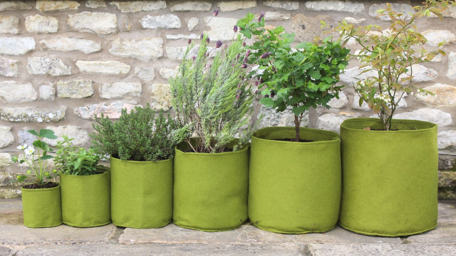 Why is Vigoroot Fabric Something Every Gardener Needs?