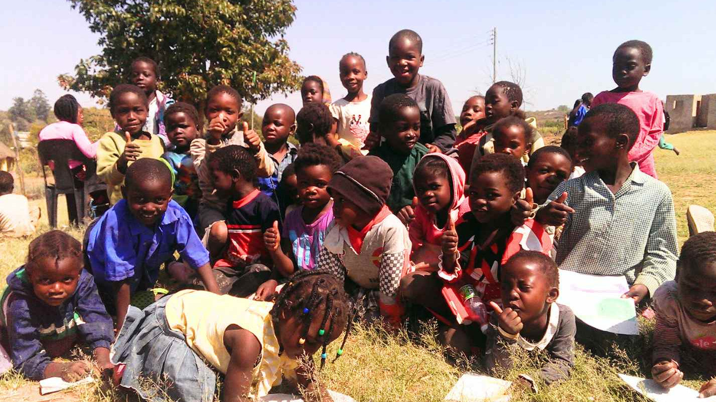 Introducing the Haxnicks Zambian Garden...