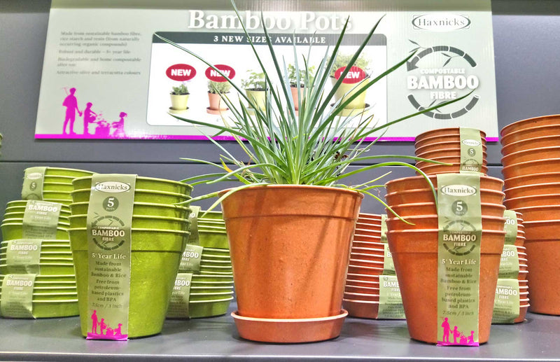Haxnicks, sustainable, biodegradable, compostable bamboo pots and saucers win GLEE gardening award