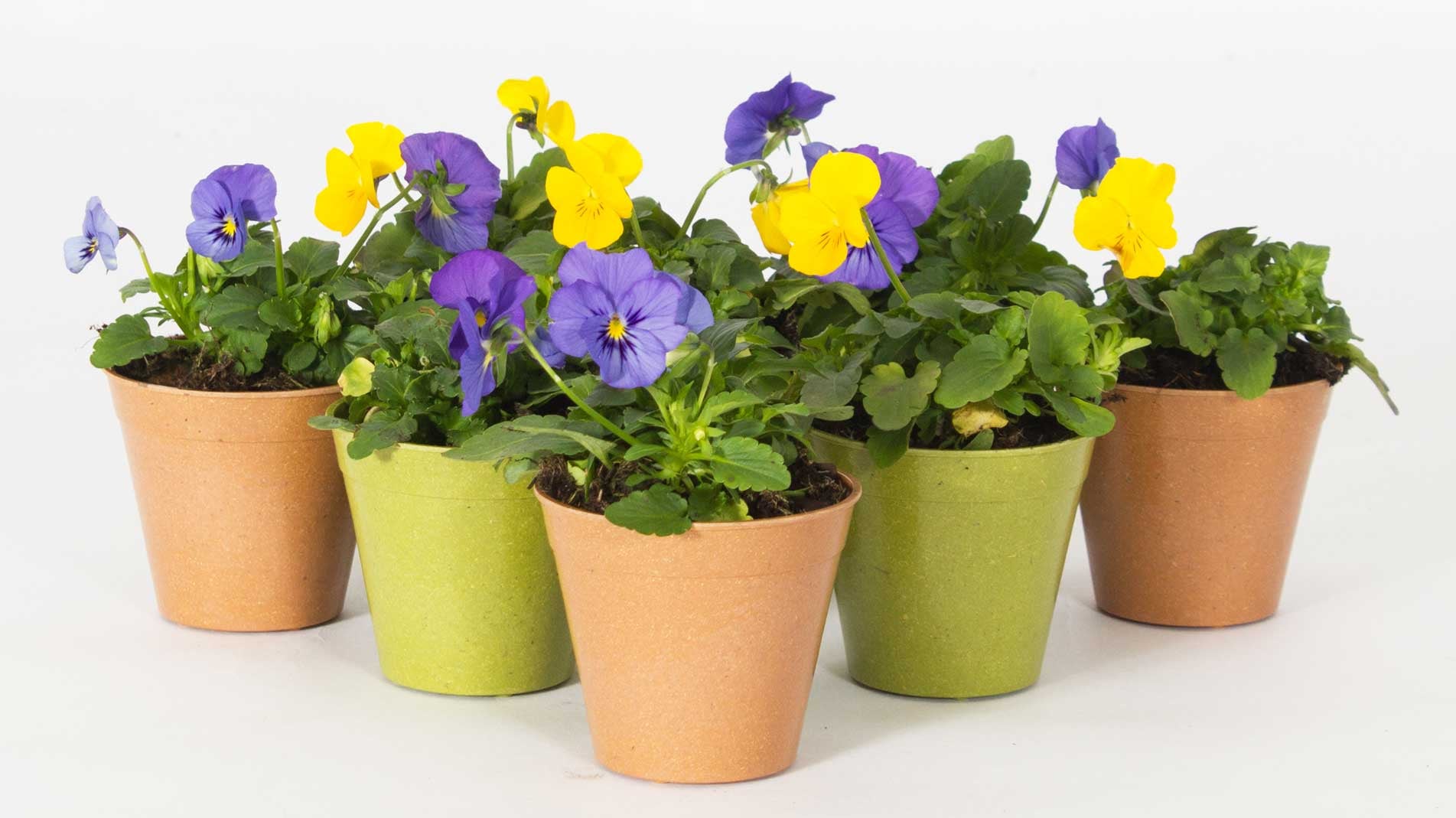 Haxnicks Sustainable bamboo range for environmentally friendly gardening