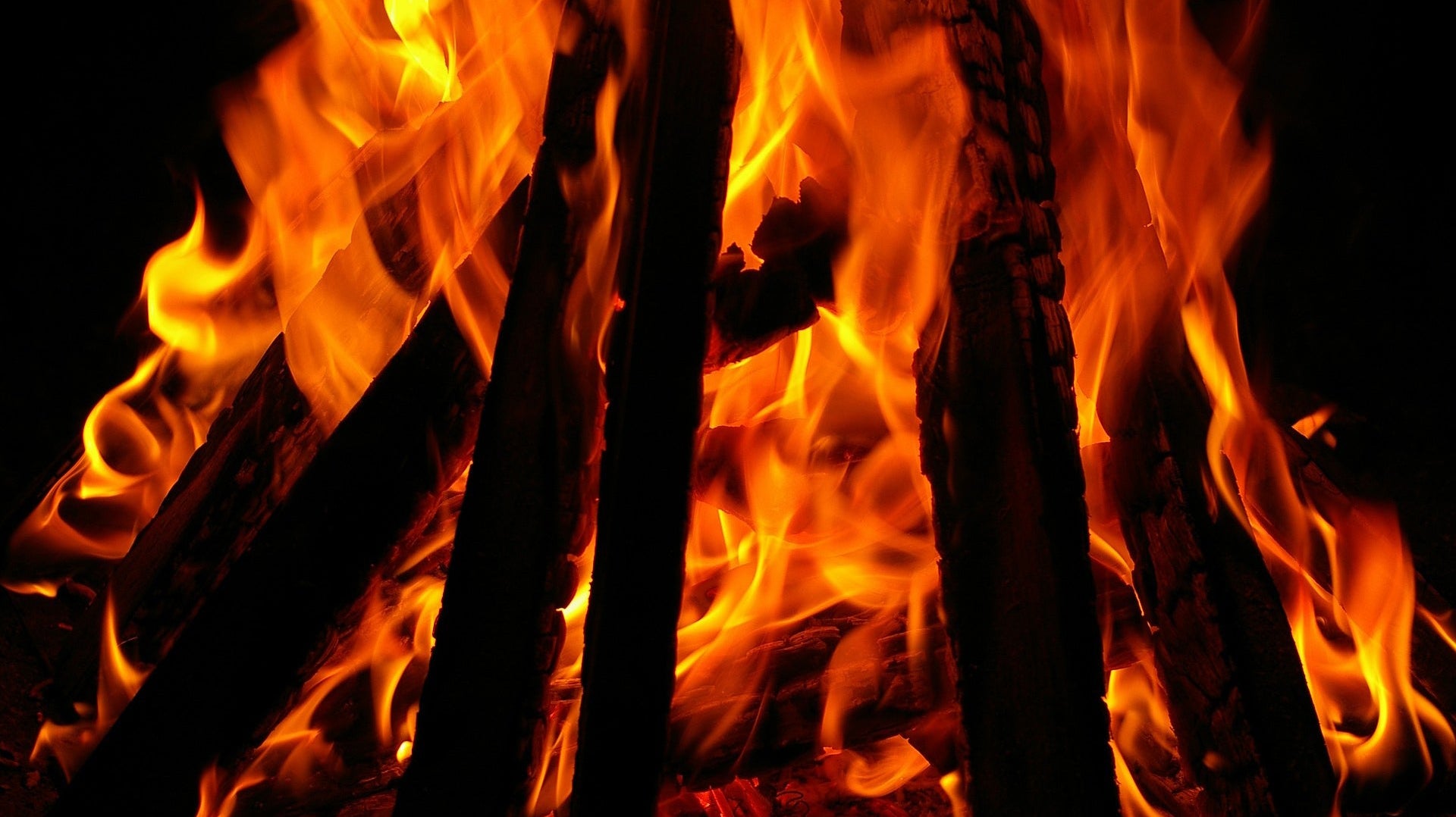 Garden bonfire filling whole frame