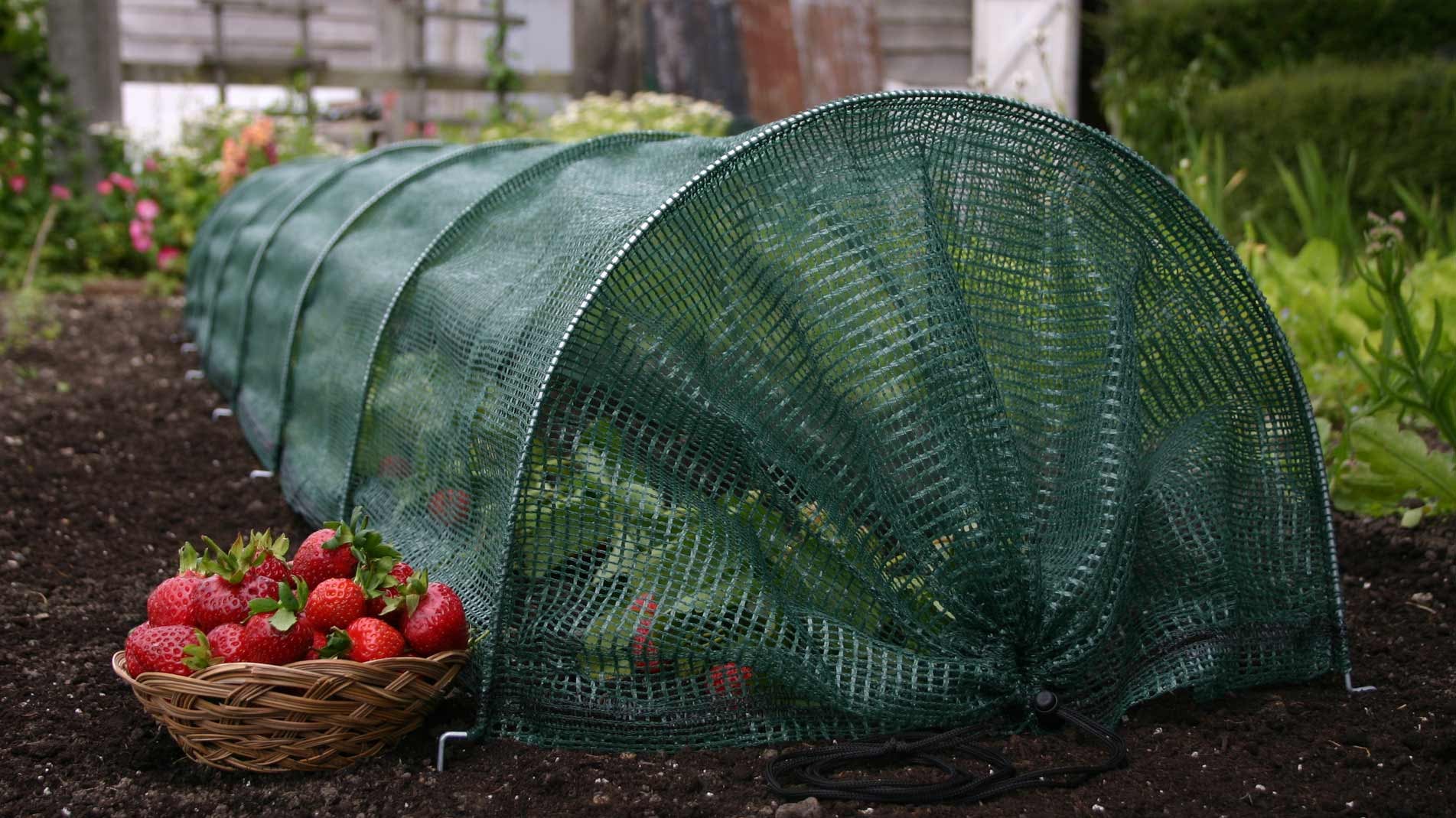 Haxnicks Giant Net Easy Tunnel protecting plants from wind and heavy rain