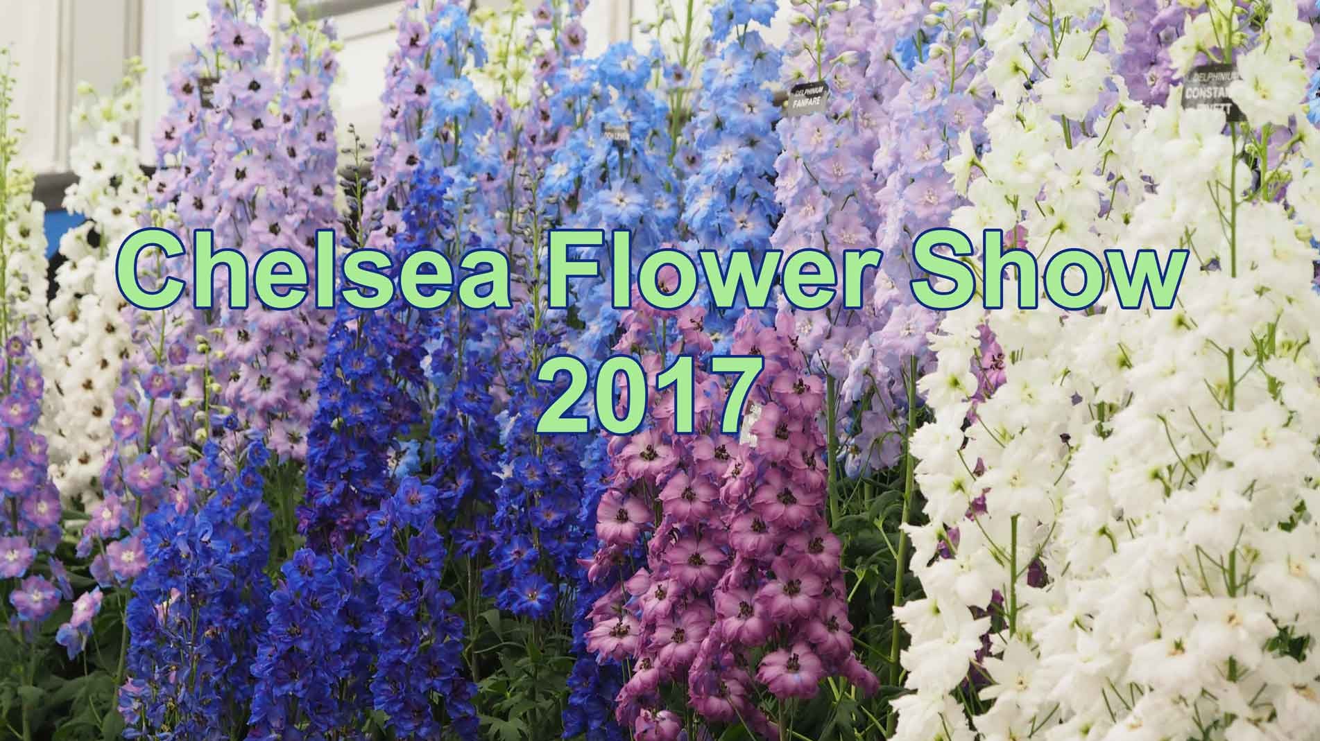 Haxnicks preparations for RHS Chelsea Flower Show 2017