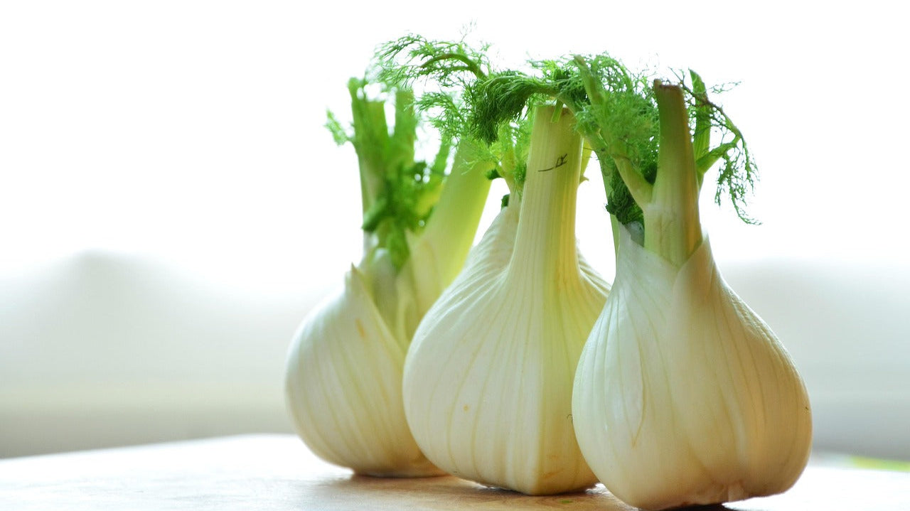 What are the 2 types of Fennel and how to grow them