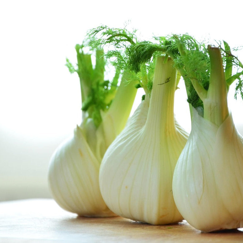 What are the 2 types of Fennel and how to grow them