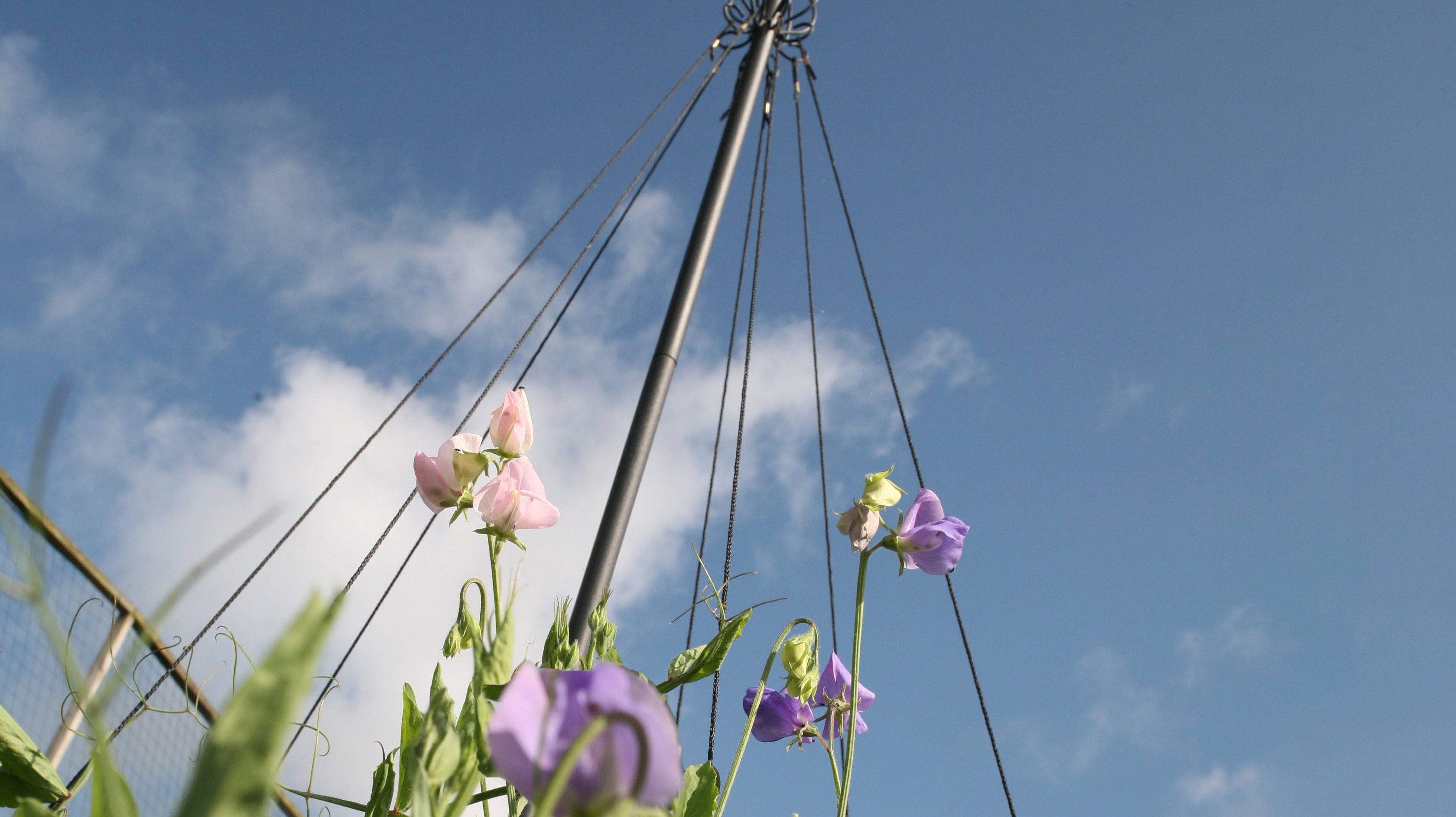 Garden Maypole Decorative Plant Support