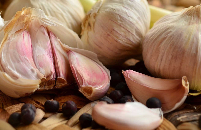 How to grow garlic - find the best way to grow garlic