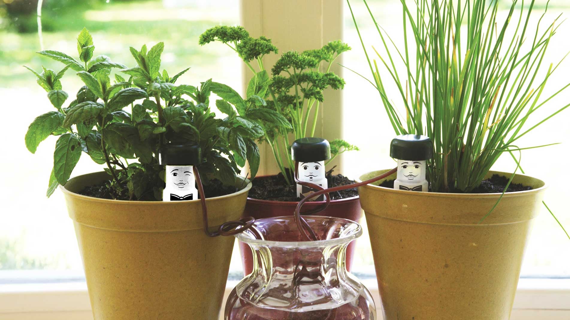 Water Waiters to water your plants when you can't plus other new products