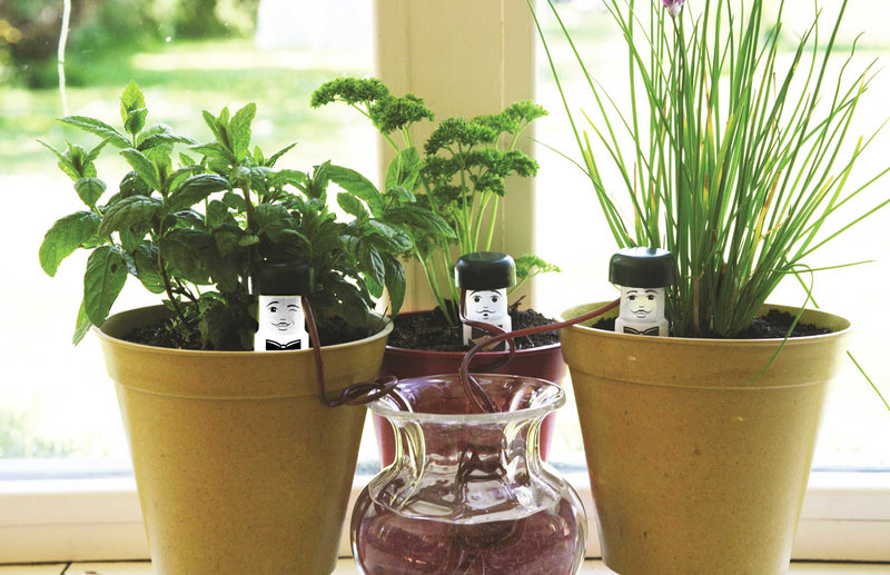 Water Waiters to water your plants when you can't plus other new products
